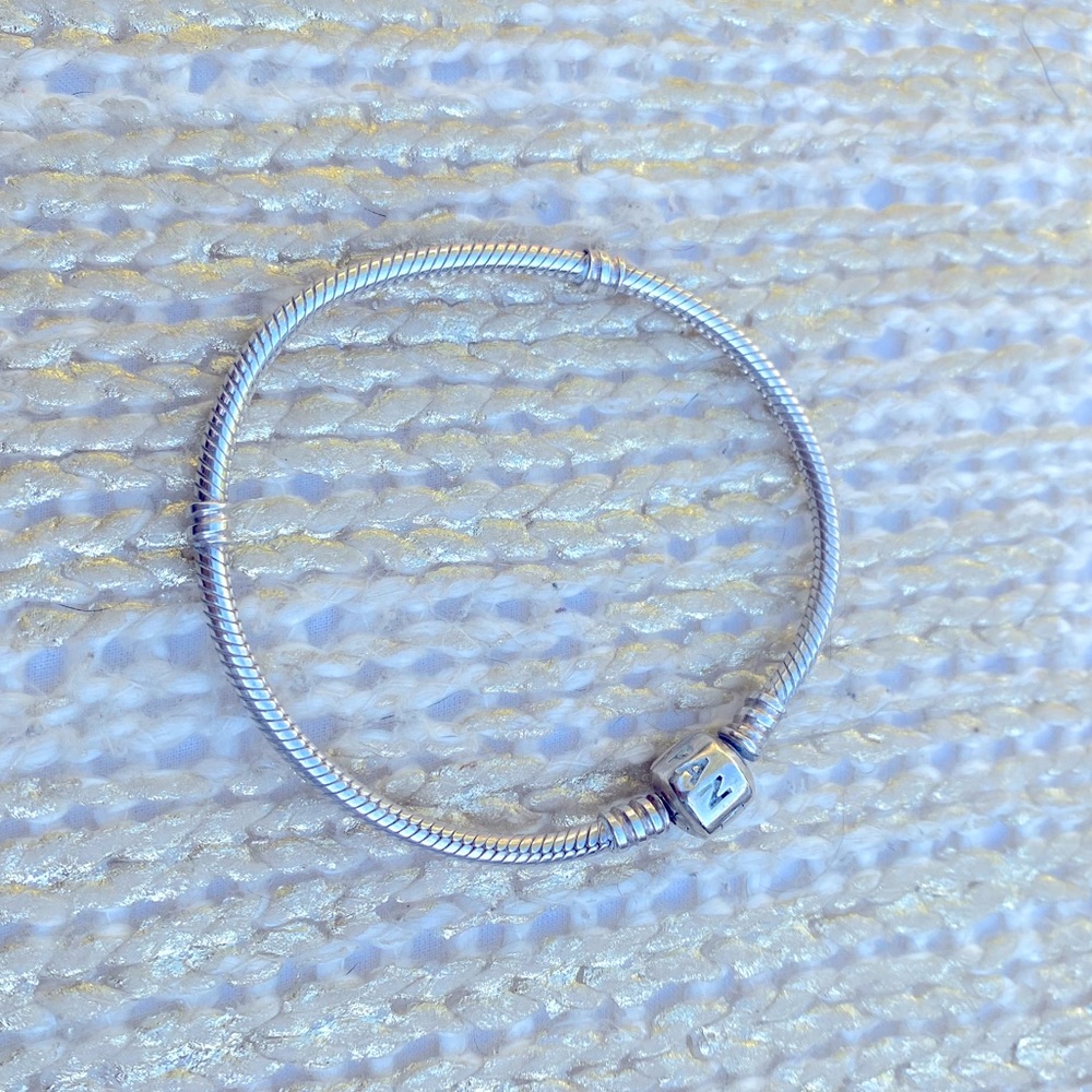 Pandora ✨ Classic Bracelet + 9 CHARMS! ✨